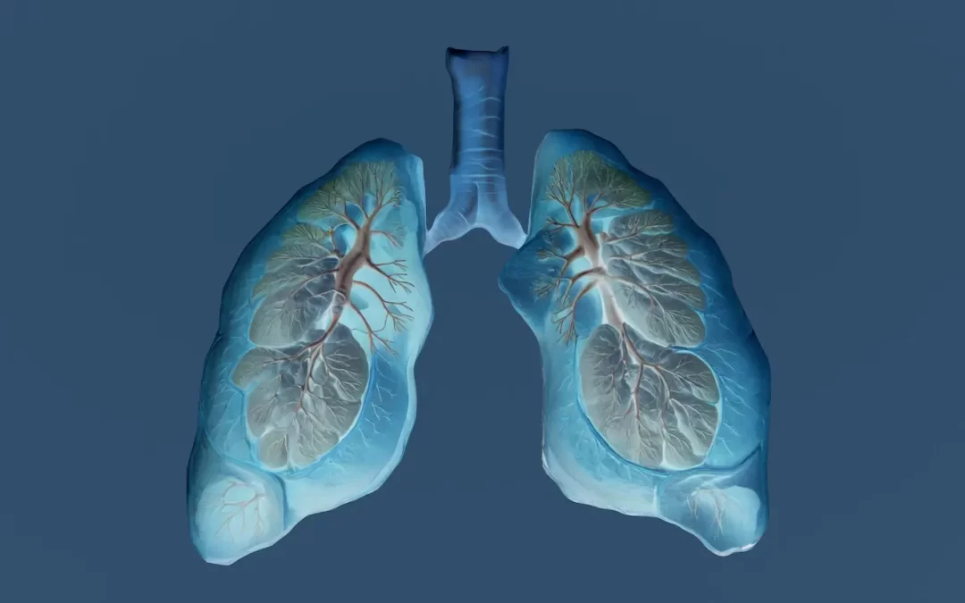 Illustration of human lungs highlighting VO2 capacity and oxygen uptake for fitness and endurance